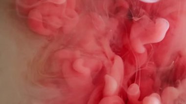 Duman dalgası. Renk sıçraması. Soyut sanat eserlerinin yaratıcı arka planında dönen odaklanmış pembe beyaz boya dokusu kimyasal bulut akışı.
