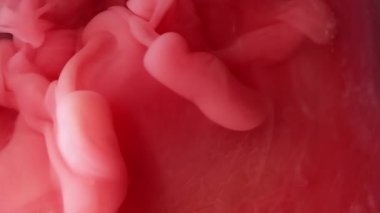 Sis dalgası. Sıçrama boyası. Odaklanmamış pembe kırmızı renk dokusu soyut sanat yaratıcılığı arka planında hareket eden duman sıvısı damlası.