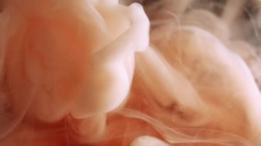 Buhar parıltısı. Soyut dalga. Odaklanmamış turuncu bronz boya rengi su kimyasal sıvı sıvı bulut sanat yaratıcılığı arka planında hareket ediyor.