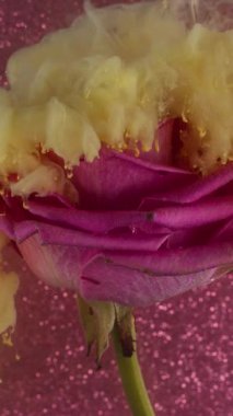 Dikey video. Dalga sisi. Gül çiçeği. Sıvı parçacıklar sarı boya, doğal tomurcukta patlayan kıvrımlı su. Sanat sıvısı pembe parıltılı soyut arkaplan dokusu.