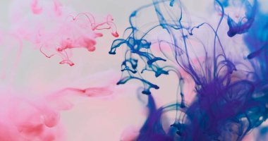 Pigment damlası suyu. Boya akışı. Sıvıya damlayan pembe mavi menekşe. Sanat rengi duman büküm karışımı soyut beyaz arkaplan.