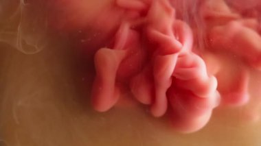 Parlak mürekkep. Toz dokusu. Suyun içindeki pembemsi sarı sıçrama boyası soyut sanatının yaratıcı arka planında ilerliyor..