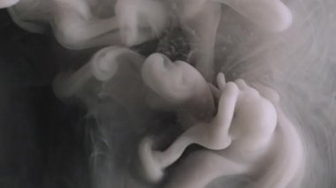 Ruhsal sis. Mürekkep suyu. Odaklanamayan mor renkli dumanlı kimyasal boya sıvı dalga akışı dumanı soyut sanatın koyu siyah arka planında yükseliyor..