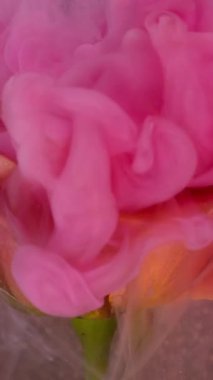 Dikey video. Dalga sisi. Gül çiçeği. Şeffaf sıvıda yayılan garip pembe mürekkep. Sanat sıvısı doğayı bulanıklaştırır soyut gri arkaplan parıldayan yüzey.