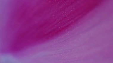 Parıltılı doku. Odaklanmamış pembe dalga. Parlak parçacıklar güzel, ışıl ışıl sıvı bulanık bokeh hafif modern zemin üzerinde hareket ediyor..