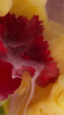 Dikey video. Dumanı karıştır. Suluboya mürekkep. Kırmızı karanfil çiçeğinin yapraklarında kıvrılan sarı bulanık duman. Dekoratif doğa soyut su arkaplanı .