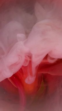 Dikey video. Duman girdabı. Sanat doğası. Gül yaprağına yuvarlak, pürüzsüz pembe şeftali lekesi mürekkebi dökülmüş. Doğa çiçeği soyut bulanık su arkaplanını karıştır .