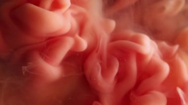 Parıltı buharı. Soyut akış. Su boyasında çözünmüş pembe renkli sıvı mürekkep sanat arka planında bulutsal ruhani doku sıçratıyor..