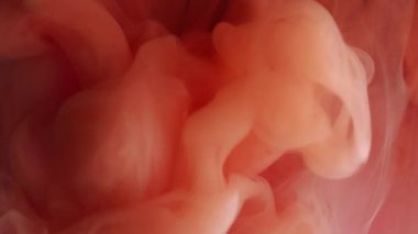 Sis sıvısı. Buhar arka planı. Odaklanmamış pembe turuncu pigment bulut desenli duman dumanlı sis boyası soyut sanat eserlerinde yüzüyor..