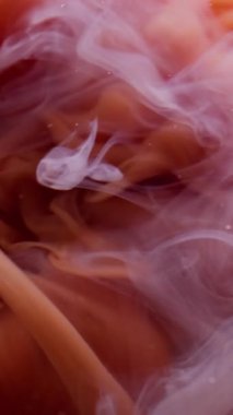 Dikey video. Fantezi dumanı. Boya dumanı. Suluboya dalgası kahverengi girdap beyaz suda yüzer. Odaklanamayan parçacıkların belirsiz dokusuyla gizemli mürekkep arkaplanı.