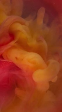 Dikey video. Duman patlaması. Sis çiçeği. Zarif, canlı, ışıl ışıl, turuncu, sprey boyalı, çözünmüş pembe şeftalili, dumanlı, soyut bir arka plan. .