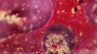 Boya damlası. Işıldayan sıvı. Parlak soyut bulanık parçacıkların arka planında hareket eden parlak kırmızı renkli mürekkep sıvısı..