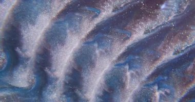 Köpüklü boya. Akış parçacıkları. Soyut ışık yaratıcı arka planda yüzen mavi, mor renk dalgası simli sıvı.