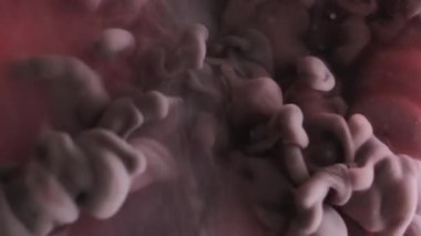 Parıldayan bulut. Sis sıçraması. Soyut sanat arka planında yüzen su akışkan duman dokusunda çözünmüş pembe mavi renk boya..