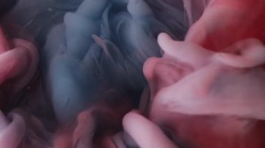 Duman dokusu. Boya suyu karışımı. Soyut sanat akrilik yaratıcı arkaplan üzerine odaklanmış kırmızı mavi boya sıvısı sis bulutu sıvısı.