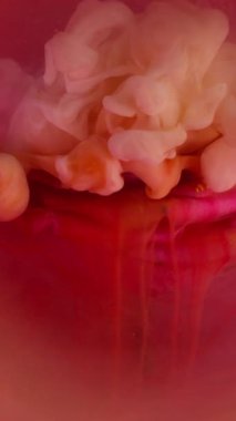 Dikey video. Mistik duman. Su altı yaprakları. Çiçek tomurcuğuna renkli sprey mürekkebi karıştır. Haze gül doğal bulanık lens kırmızı turuncu soyut arkaplan suyu.