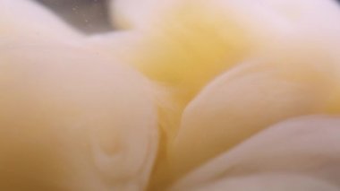 Sis akışı. Odaklanmamış arka plan. Duman boyası bulutu su altında patladı. Fantezi bej renk pigmentini çözer yüzen akarsu boyası yayılır.