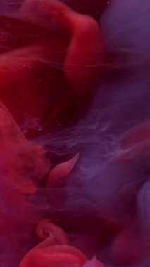 Dikey video. Renkli duman. Sanat akışı. Kırmızı mor sisli sıvı ve küçük parçacıklar. Duvak boyası pigmentini karıştır. Odaklanmış su boyası soyut arkaplan.