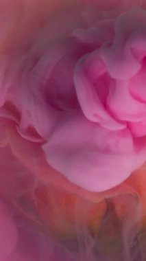 Dikey video. Çiçek mürekkebi damlası. Duman dökülüyor. Gül yapraklarını kaplayan parlak pembe sprey. Şeftali rengi odaklanmış sıvı soyut arkaplan .