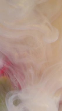 Dikey video. Duman karışımı. Işıldayan buhar. Bulanık karanfilin üzerine beyaz şeftali rengi boya karışımı. Sıvı çiçekleri soyut su arka plan sanatı doğası.