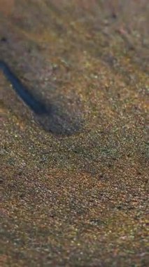 Dikey video. Boya damlası. Parıltı patlaması. Gri grunge emülsiyonu garip bir şekilde sanat suyu dokusunu akıtmakta parçacıklar soyut arkaplanı bulanıklaştırmaktadır..