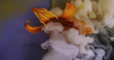 Çiçek suyu. Bulut mürekkebi. Odaklanmamış kırmızı turuncu mavi renk girdaplı sıvı simli buhar bitkisi çitleri soyut arka planda yüzüyor..