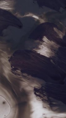 Dikey video. Mürekkep akışı. Boya dökülmüş. Suluboya sıvısı, dumanlı, soyut bir arka plan. Mistik siyah beyaz kıvrılan grunge akarsu örtüsü desen efekti.