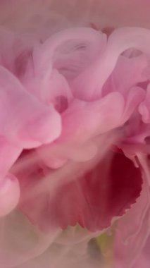 Dikey video. Mistik duman. Su altı yaprakları. Kırmızı çiçek tomurcuğuna pembe mürekkep damlatın. Haze karanfili doğa mercekleri soyut arkaplan suyu bulanıklaştırır.