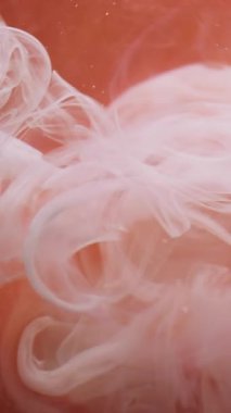 Dikey video. Duman dalgası. Renkli sis. Kabarık akarsu kahverengi turuncu beyaz karışımı rüyadaki girdap gibi akıyor. Havalı kıvrımlı boya sıvısı mistik peçe dokusu.