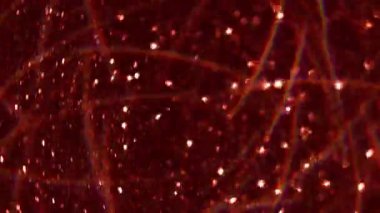 Görüntü diskosu titreşiyor. Parıltı parıldıyor. Siyah desen üzerinde hareket eden odaksız parlaklık mercekleri kırmızı kaleydoskop soyut arka plan.
