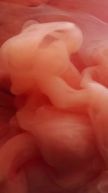 Dikey video. Renk akışı. Buhar arka planı. Odaklanmamış pembe turuncu pigment bulut desenli duman dumanlı sis boyası soyut sanat eserlerinde yüzüyor..