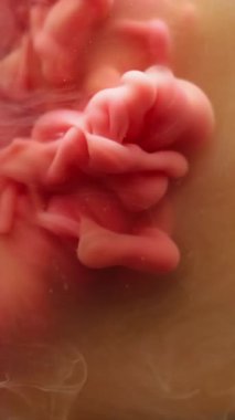 Dikey video. Buhar yüzüyor. Sis dokusu. Soyut sanat arka planında hareket eden su ruhani sıvısında çözünmüş pembe sıçrama boyası..