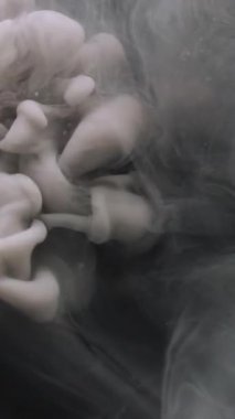 Dikey video. Boya damlası. Atmosferik duman. Odaklanmamış bulut dokusu su akışı kimyasal sis soyut sanat kara arkaplan üzerinde yüzüyor.