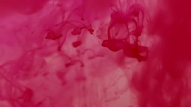 Duman sıçrıyor. Boya karışımı. Parlak pembe karışım girdaplı sanat suyu damlaları damlalar çözülmüş pigmentler yayılmış. Soyut sıvı doku arkaplanı.