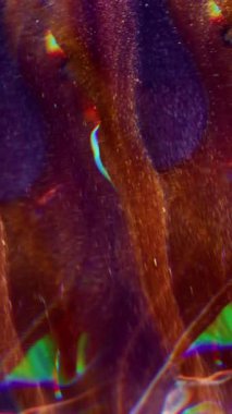 Dikey video. Işıldayan iplik. Odaklanamayan kumlu parıltı. Işıl ışıl turuncu mor renkli mercek alevi bulanık bokeh hafif modern arka planda hareket ediyor.