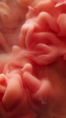 Dikey video. Duman dalgası. Soyut akış. Su boyasında çözünmüş pembe renkli sıvı mürekkep sanat arka planında bulutsal ruhani doku sıçratıyor..