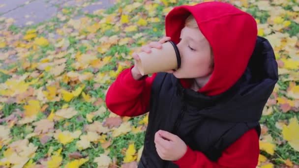 Bovenaanzicht Van Jongen Drinken Warm Drankje Uit Glas Herfst Park — Stockvideo