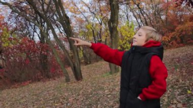 Kırmızı renkli sonbahar ormanında, çocuk birini çağırır ve parmağıyla ileri doğru işaret eder. Yüksek kaliteli FullHD görüntüler