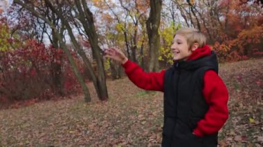 Sonbahar ormanında çocuk birini arar ve sonra güler. Yüksek kaliteli FullHD görüntüler