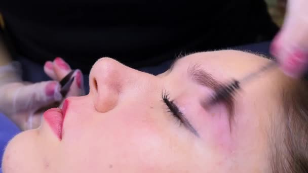 Cepillar Las Cejas Con Cepillo Maquillaje Permanente Ceja Del Procedimiento — Vídeos de Stock