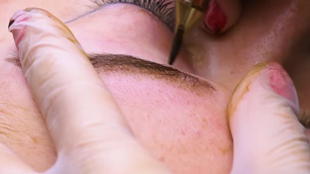 Makrofotografia Procesu Nakładania Makijażu Stałego Skórę Brwi Zabieg Kosmetyczny Makijaż — Wideo stockowe