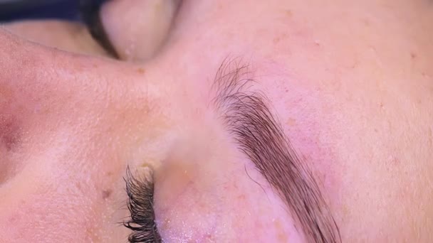 Makro Záběr Škubání Obočí Vlasy Pinzetou Kosmetický Zákrok Permanentní Make — Stock video