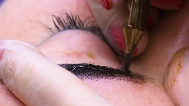 Close Cartucho Tatuagem Injetando Pigmento Pele Das Sobrancelhas Maquiagem Permanente — Vídeo de Stock