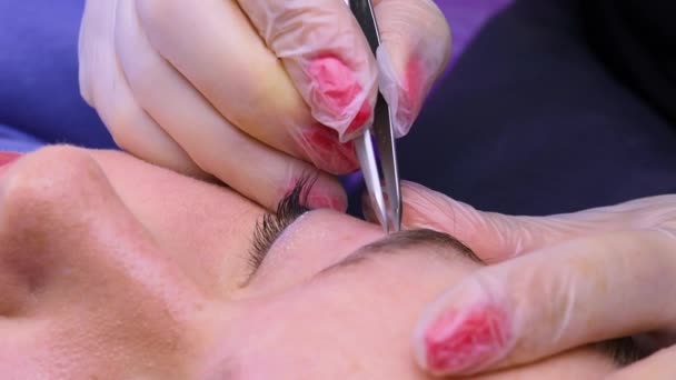 ピンセットで髪を摘んだ眉の矯正 化粧品の手順永久的な眉メイク 眉の入れ墨 — ストック動画