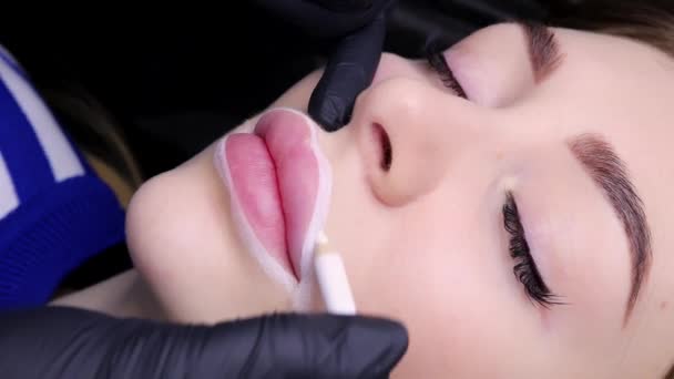 Lippenkonturierung Des Modells Vor Der Prozedur Des Permanenten Lippenschminkens Hochwertiges — Stockvideo