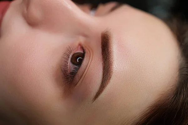 眉毛永久妆容与阴影后的照片程序 眉毛永久化妆程序 — 图库照片