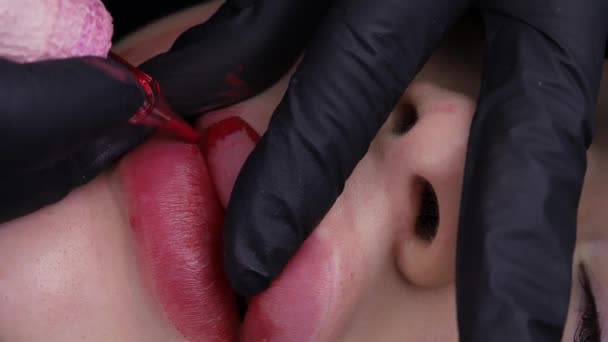 Gros Plan Des Modèles Lèvres Sur Lesquels Maître Applique Maquillage — Video