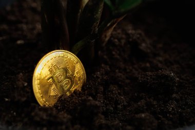 Bitcoin kripto sikkesi Dnipro, Ukrayna - 23 Ağustos 2023
