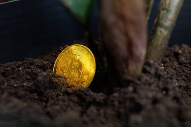 Bitcoin kripto sikkesi Dnipro, Ukrayna - 23 Ağustos 2023
