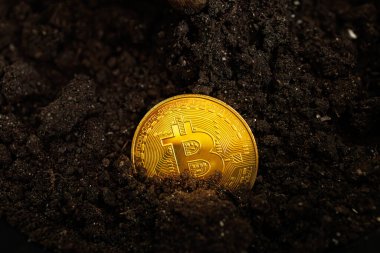 Dnipro, Ukrayna - 23 Ağustos 2023